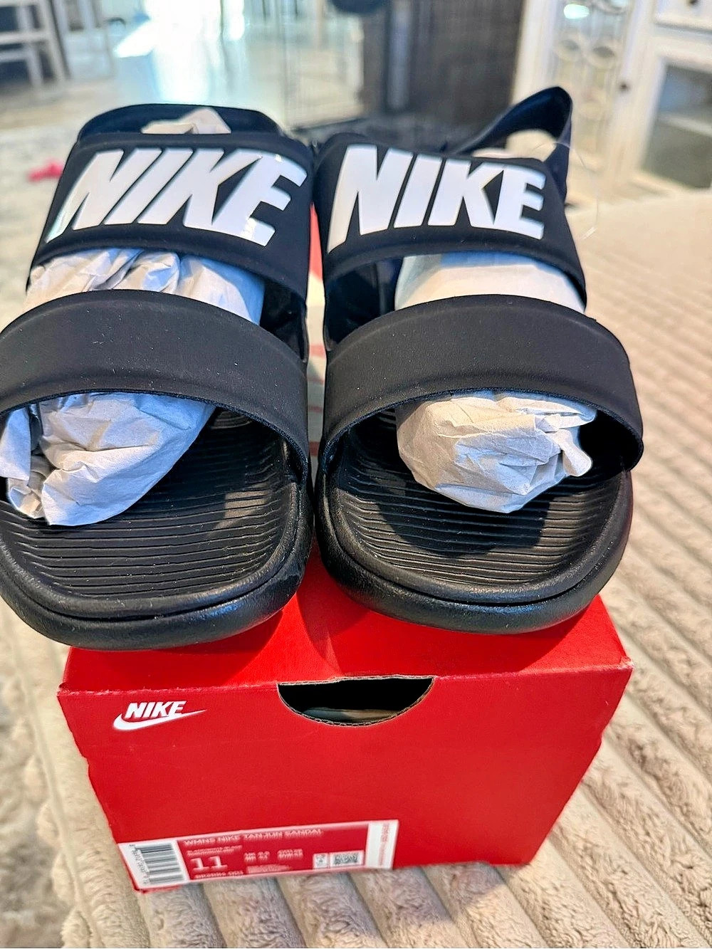 Womenโs Nike Tanjun Sandal